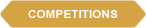 1741097387376 (1).png